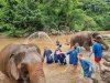 HALF- DAY ELEPHANT SANCTUARY