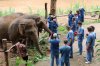 FULL - DAY ELEPHANT SANCTUARY &amp; SOFT ADVENTURE