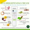 ECO BRIGHTENING CREAM