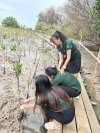 Mangrove Planting: Army Natural Study Center - Bang Pu