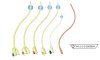 Star 2 way foley catheter | สายสวนปัสสาวะ 2 ทาง แบบซิลิโคน (10 เส้น/กล่อง)