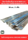 บัสบาร์เคลือบดีบุก 80mm.X5mm.ทองแดง 99.98% / Tin-Plated Copper BusBar 80mm.X5mm. 99.98% 50CM./1เส้น