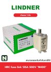 ฟิวส์ใบมีด 125แอมป์ 500โวลต์  NH00 / HRC fuse link 125A 500V NH00 1ตัว " LINDNER "