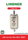 ฟิวส์ใบมีด 125แอมป์ 500โวลต์  NH00 / HRC fuse link 125A 500V NH00 1ตัว " LINDNER "