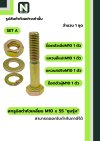 สกรูมิลดำหัวเหลี่ยมM10x55 /Black Steel Coating Nut M10x55