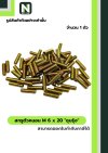 สกรูตัวหนอน M6,M8,M10x20 ชุบรุ้ง/Grub screws,M6,M8,M10x20