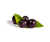 Acai berry extract 5 %