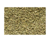 Fenel seed extract