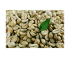 Green coffee bean extract