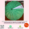ร่มกันแดดกันฝน มีUV 16ก้าน ขนาด 22 นิ้ว