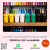 แก้วเก็บอุณหภูมิ TROPICAL CUP  ขนาด480ML