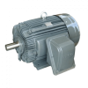 TECO MOTOR  TYPE : AEEF, AEVF