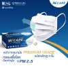 Hi-Care Premium Grade หน้ากากอนามัยหนาพิเศษ (รองรับ PM2.5 กรองเชื้อโรค) แผ่นกรอง 3 ชั้น ชนิดคล้องหู / 30 ชิ้น