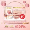 Hi-Care Premium Grade Copper หน้ากากอนามัยหนาพิเศษ (รองรับ PM2.5 กรองเชื้อโรค) แผ่นกรอง 3 ชั้น ชนิดคล้องหู / 10 ชิ้น