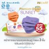 Hi-Care Premium Grade Sunset หน้ากากอนามัยหนาพิเศษ (รองรับ PM2.5 กรองเชื้อโรค) แผ่นกรอง 3 ชั้น ชนิดคล้องหู / 10 ชิ้น