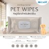 Hi-Care Pet Wipes 50 Sheets ทิชชู่เปียกสูตรอ่อนโยนสำหรับสัตว์เลี้ยง 50 แผ่น