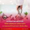 ประกันสุขภาพทำแล้วไม่ได้ใช้ ไม่ใช่การเสียเงินเปล่า