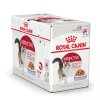 Royal Canin Instinctive Chunks in Jelly Pouch 12pcs.x85g.