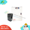 MV-12+เมน100A loadcenter 12ช่อง - Chang