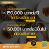 ร้านอาหารที่มีรายได้สุทธิ ร้านอาหารที่มีรายได้สุทธิ
