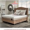 Dreamline New Barcelona