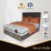 Best Koil Smart Pedic