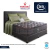 Serta Andes