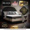 Dreamline Rio