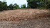 Land for Sale – Nong Suea Dam, Soi Rai Land 2 (Hin Lek Fai, Hua Hin)
