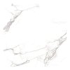 BIRDY กระเบื้องปูพื้น 16"x 16" นกธารา/1 (6แผ่น/กล่อง)