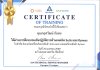 certificate Solis และ Dyness