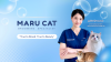 อาบน้ำแมว | Maru Cat Grooming Specialist รามอินทรา – บริการ Grooming ระดับพรีเมียม
