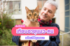 เจ้าเหมียวอายุเท่าไหร่แล้วนะ? เทียบอายุแมว-คน พร้อมวิธีดูแล เจ้าเหมียวอายุเท่าไหร่แล้วนะ? เทียบอายุแมว-คน พร้อมวิธีดูแล
