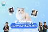 ทำไมต้องอาบน้ำแมวโดยเฉพาะ by Maru Cat Grooming ทำไมต้องอาบน้ำแมวโดยเฉพาะ by Maru Cat Grooming