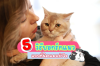 5 วิธีบอกรักแบบที่น้องแมวเข้าใจ ทาสต้องรู้! 5 วิธีบอกรักแบบที่น้องแมวเข้าใจ ทาสต้องรู้!