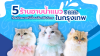 5 ร้านอาบน้ำแมวในกรุงเทพฯ ที่คนรักแมวพรีเมียมเลือกใช้บริการ (ปี 2025) 5 ร้านอาบน้ำแมวในกรุงเทพฯ ที่คนรักแมวพรีเมียมเลือกใช้บริการ (ปี 2025)