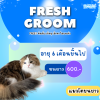 Grooming STANDARD แมวโต (ขนยาว)