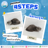 รีวิวจากลูกค้าจริง