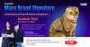 Scottish Fold Grooming Class – คลาสเฉพาะสายพันธุ์ที่ออกแบบมาเพื่อแมวหูพับโดยเฉพาะ Scottish Fold Grooming Class – คลาสเฉพาะสายพันธุ์ที่ออกแบบมาเพื่อแมวหูพับโดยเฉพาะ