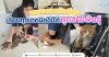 Business Cat Grooming – คลาสเรียนมือโปรเปิดร้านอาบน้ำแมว