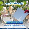 กระดาษห่อผลไม้ กระดาษห่อฝรั่ง ทนแดด ทนฝนได้ดี