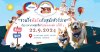 "ชวนวิ่งฟันรันกับสุนัขตัวโปรด" Pattana Pet Run 2024 ครั้งที่ 2 เปิดรับสมัครแล้ว! "ชวนวิ่งฟันรันกับสุนัขตัวโปรด" Pattana Pet Run 2024 ครั้งที่ 2 เปิดรับสมัครแล้ว!