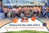 Pattana Pet Run 2025 ครั้งที่ 2 วิ่งไปกับนักกีฬาสี่ขากว่า 500 ตัว เปิดตัวด่านใหม่ Obstacle Course Pattana Pet Run 2025 ครั้งที่ 2 วิ่งไปกับนักกีฬาสี่ขากว่า 500 ตัว เปิดตัวด่านใหม่ Obstacle Course