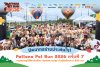 ปิดฉากอย่างประทับใจ! Pattana Pet Run 2026 ครั้งที่ 7 รวมคอมมูนิตี้คนรักสัตว์ ส่งต่อความสุข กับผู้สมัครกว่า 600 คน