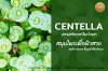 Centella Centella