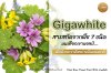 What Is Gigawhite? A Blend of 7 Alpine Plant Extracts for Naturally Brighter Skin