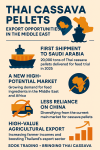 - キャッサバペレット —— 小さな粒子、大きなインパ --> - タイのキャッサバペレット、世界への可能性