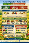 “Thailand Agriculture’s Dual Battle 2026: Durian’s Golden Year VS Rice’s Challenging Era — From Farms to the World, A New Path Forward” SO OK TRADING | 4 JUNE 2026 “Thailand Agriculture’s Dual Battle 2026: Durian’s Golden Year VS Rice’s Challenging Era — From Farms to the World, A New Path Forward” SO OK TRADING | 4 JUNE 2026