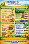 ✨ “Thailand Corn Market 2026–2027: From Fields to Global Opportunities — SO OK TRADING’s New Perspective on the World’s Transition” ✨ ✨ “Thailand Corn Market 2026–2027: From Fields to Global Opportunities — SO OK TRADING’s New Perspective on the World’s Transition” ✨