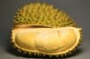 Thai Durian Export to China (FAMOUS DURIAN BY SO OK TRADING)